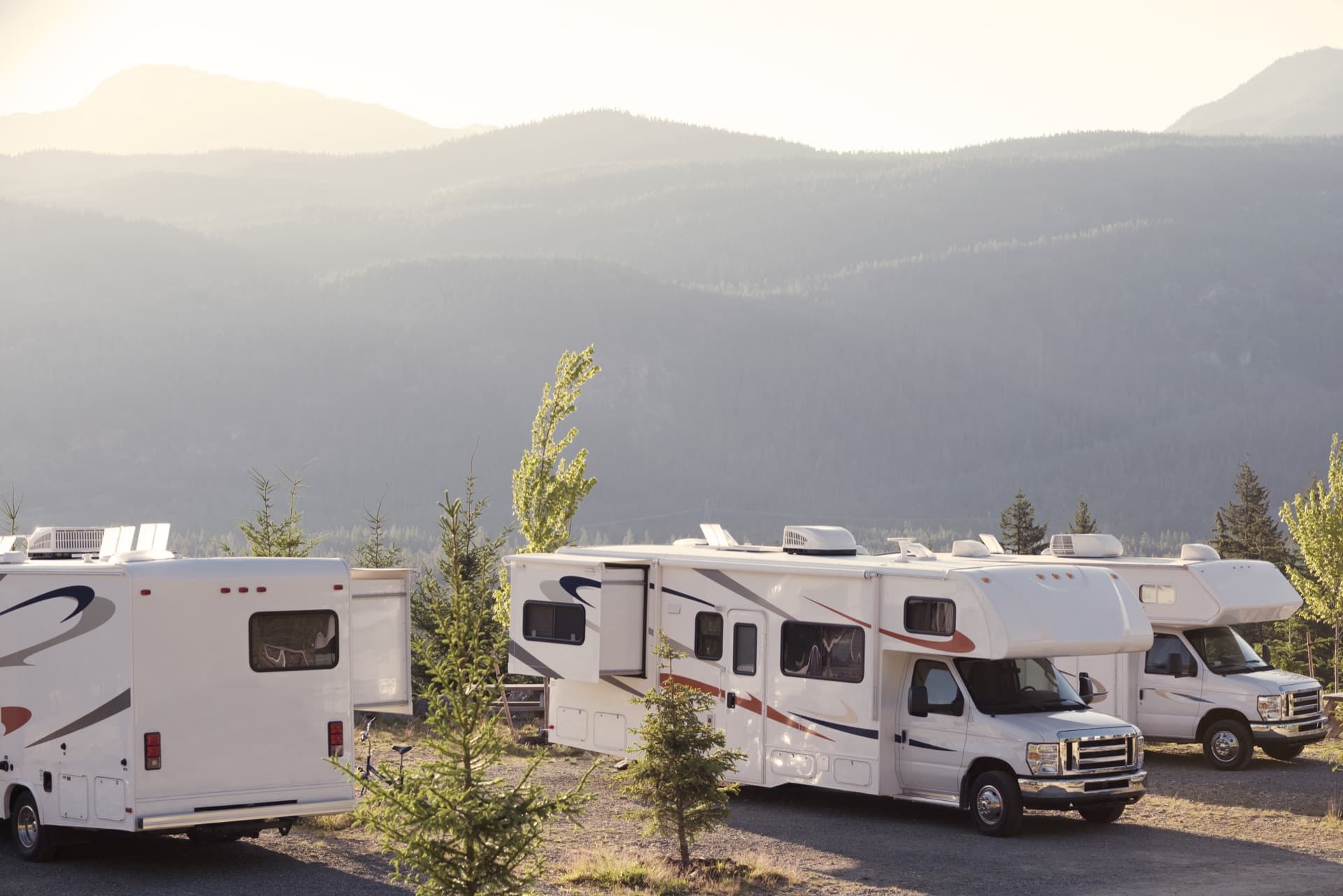 RVs parked in a wooded landscape